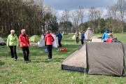 Â© tolpix