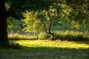 Garten Großes Ferienhaus