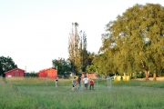 tolpix-205