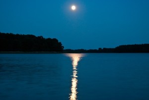 7646eb4f-9819-4965-a408-9ee8ae89c807.1.10