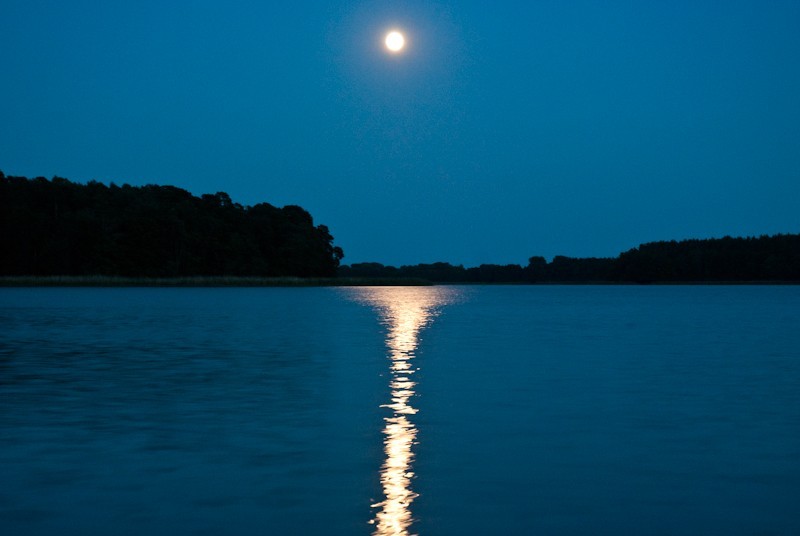 7646eb4f-9819-4965-a408-9ee8ae89c807.1.10