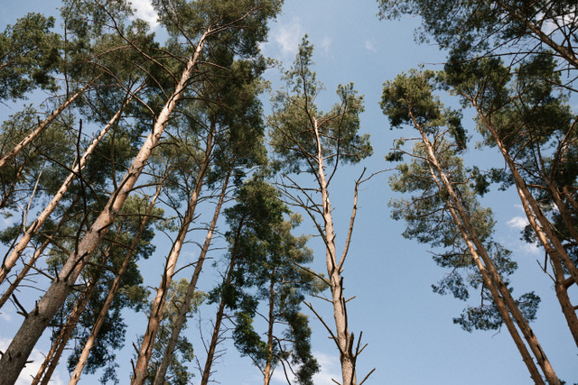 0029-Noemi&Chris-4N6A2989